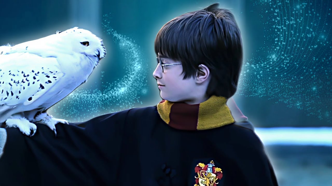 Harry Potter and the philosopher’s Stone Christmas Twixtor 4k