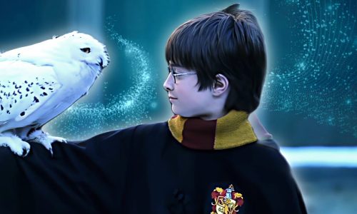 Harry Potter and the philosopher’s Stone Christmas Twixtor 4k